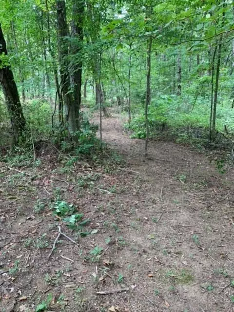 Signal Mountain, TN 37377,4408 Taft HWY