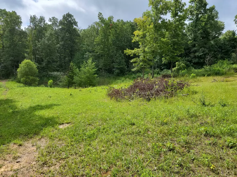 Lot 13 Beaver Hill RD, Pikeville, TN 37367