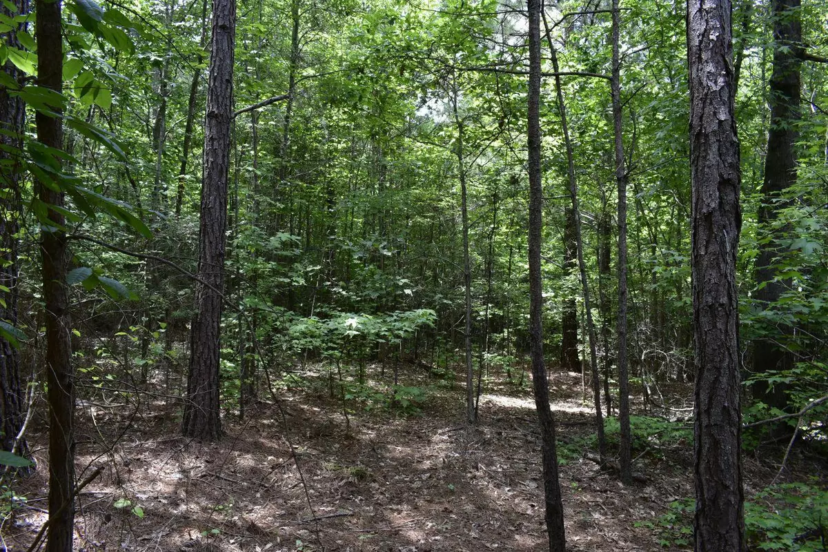 Jefferson, GA 30549,307 Lavista RD