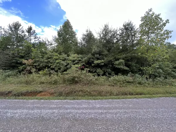 Pikeville, TN 37367,Lot 1 Poplar RD
