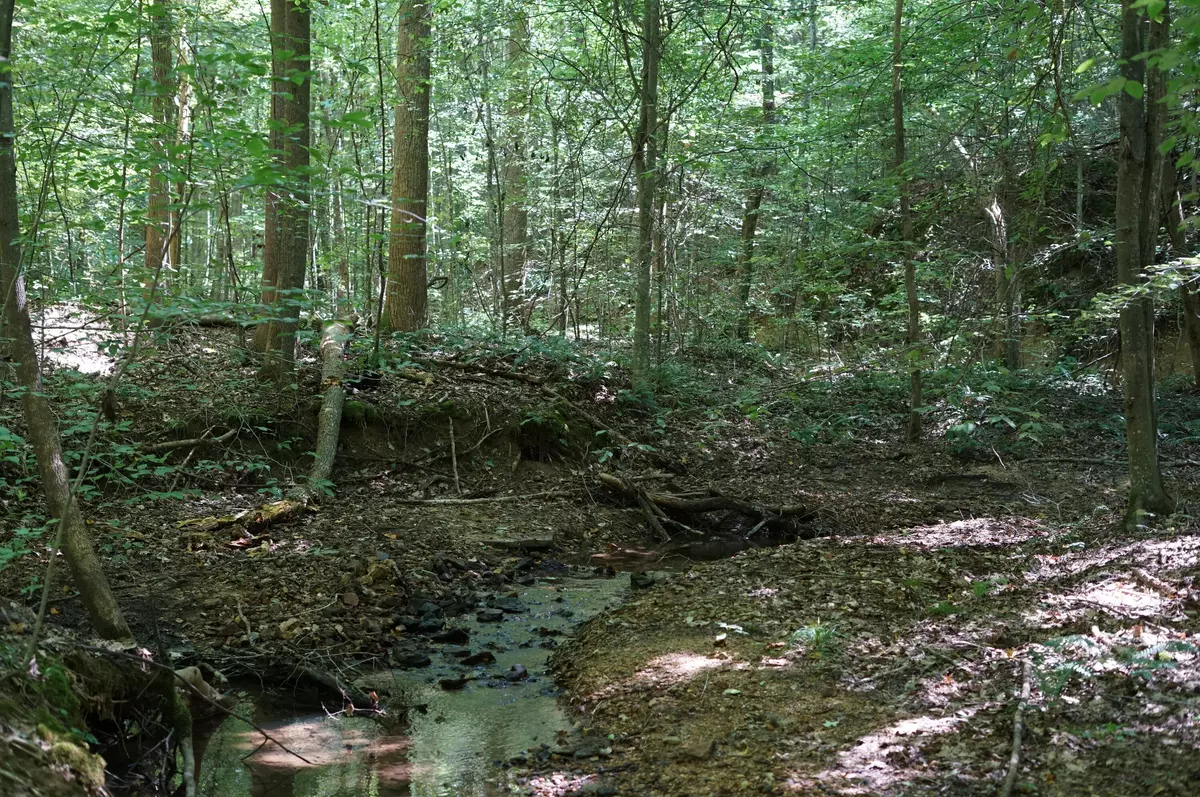 Big Sandy, TN 38221,0 Lick Creek RD