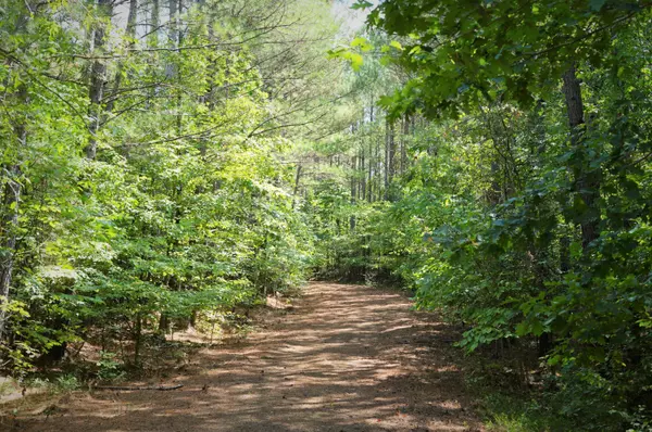 Big Sandy, TN 38221,0 Lick Creek RD