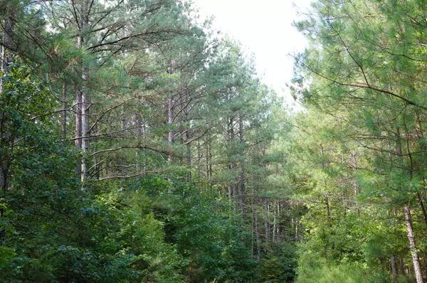 Big Sandy, TN 38221,00 Lick Ck RD