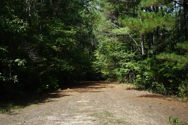 Big Sandy, TN 38221,00 Lick Ck RD