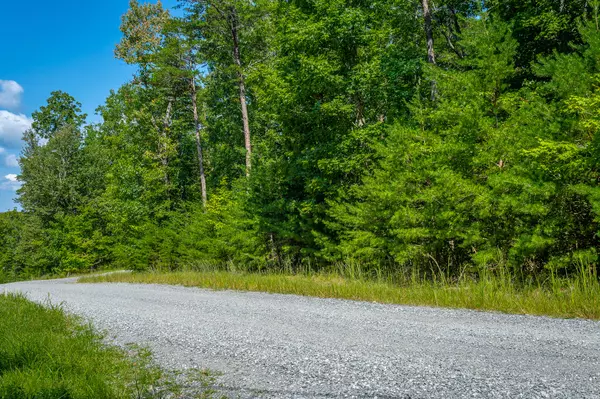 Cloudland, GA 30731,6 Highland Forest CIR