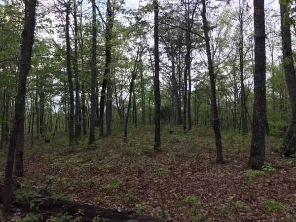 Sewanee, TN 37375,Lot 48 Jackson Point Road