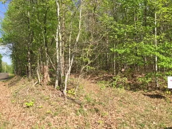 Sewanee, TN 37375,Lot 48 Jackson Point Road