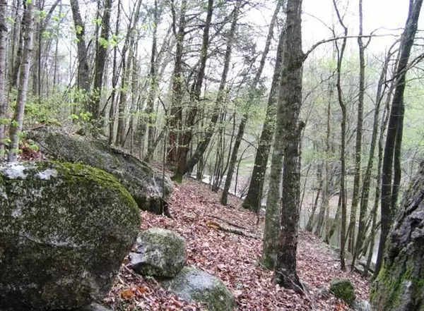 Birchwood, TN 37308,Lot 46 Bear Creek RD