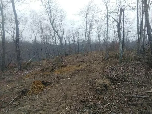 Mcminnville, TN 37110,Lot 7 Hurricane Hollow Road RD