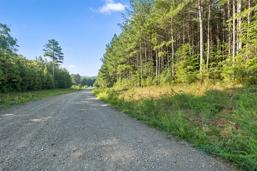 15 Acres Walden Farms RD, Signal Mountain, TN 37377