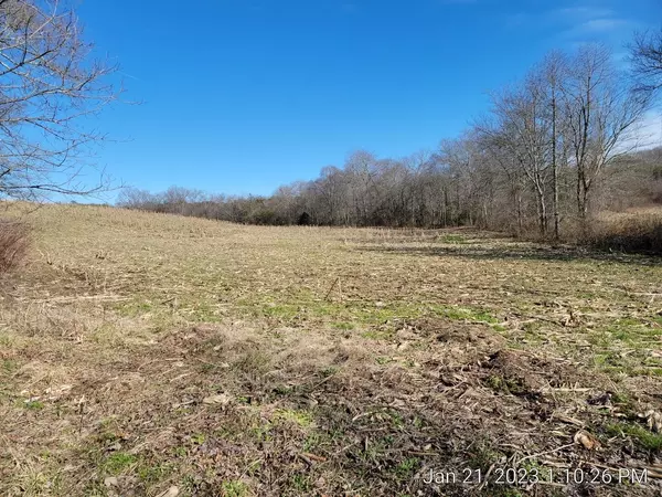 Pikeville, TN 37367,0000 Watson Loop Road