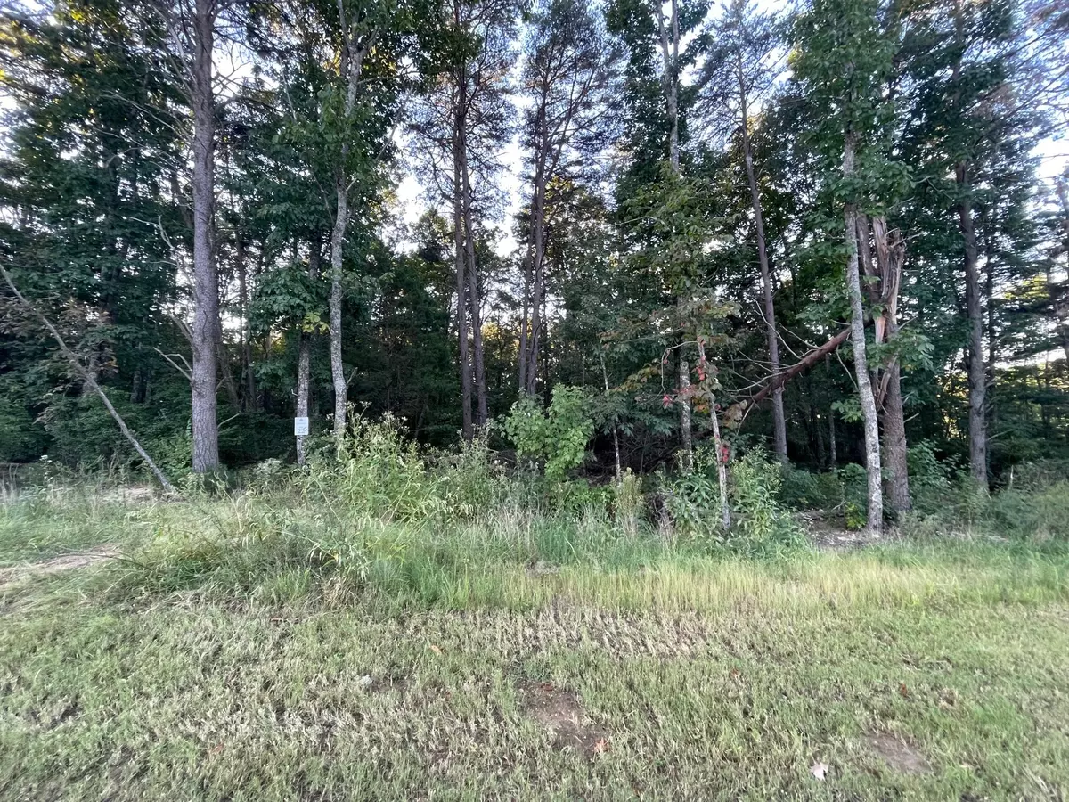 Signal Mountain, TN 37377,8293 Mountain Laurel TRL