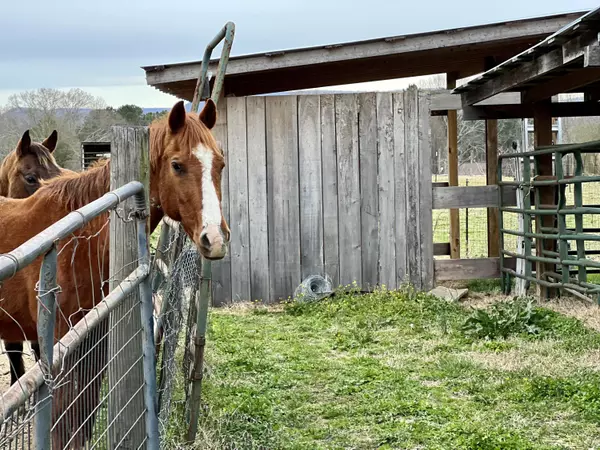 Stevenson, AL 35772,1006 Steam Plant Access RD