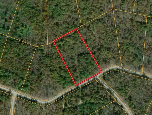 Altamont, TN 37301,0 Hunters Ridge DR