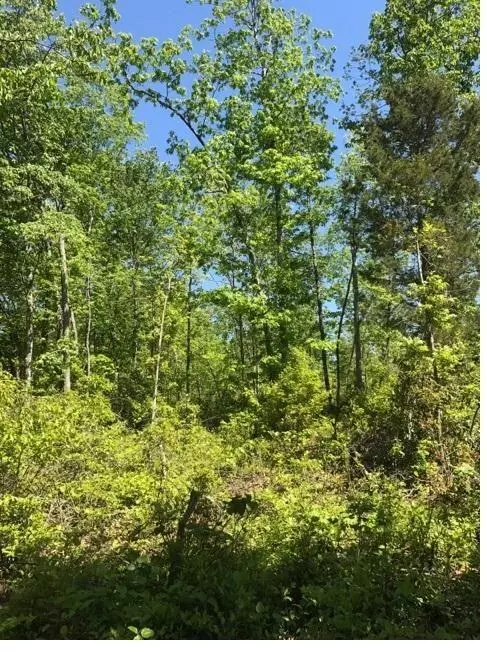 Mcminnville, TN 37110,Lot 8 Hurricane Hollow Road