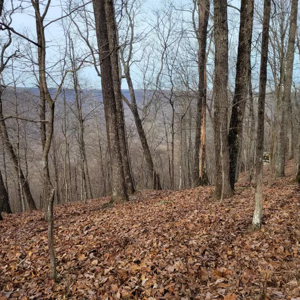 Sewanee, TN 37375,0 Ravens Den RD