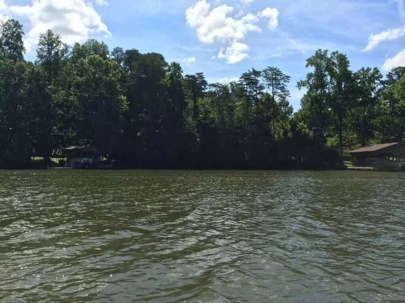 Lot 11 Dogwood DR, Spring City, TN 37381