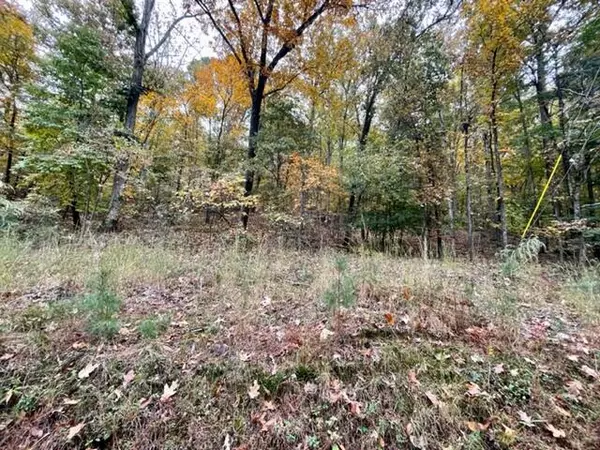 Lyerly, GA 30730,0 Dogwood LN