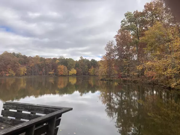 Cloudland, GA 30731,0 Lake Loop RD