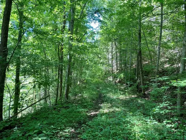 Cosby, TN 37722,19b Cedar Ridge RD