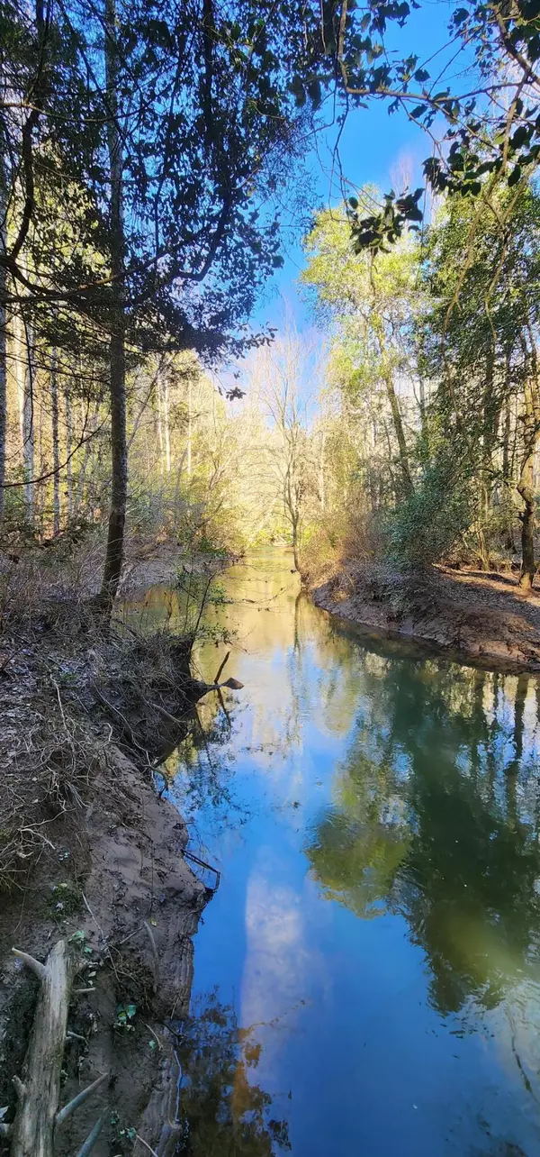 Gruetli Laager, TN 37339,0 Hickory DR