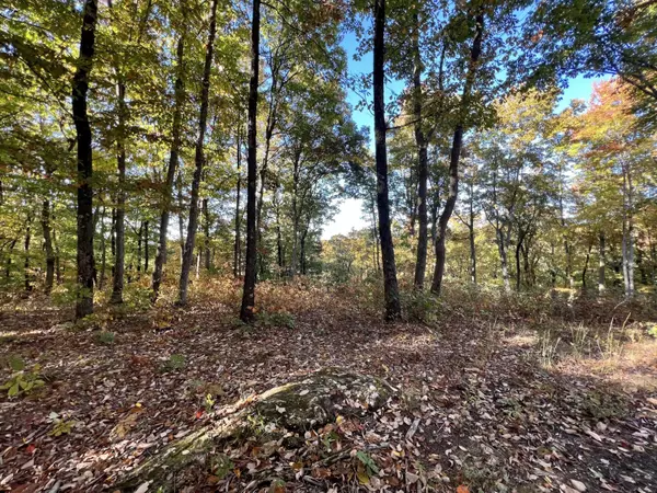 Monteagle, TN 37356,281 Sunset Bluff DR