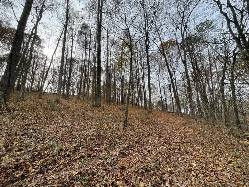 4167 River RD, Ten Mile, TN 37880