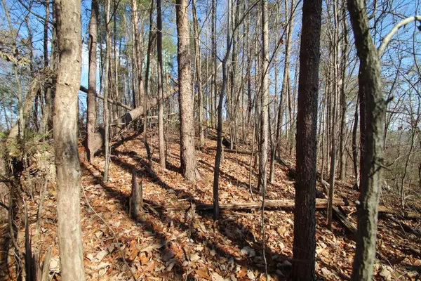 Dayton, TN 37321,Lot 45 Clearview DR