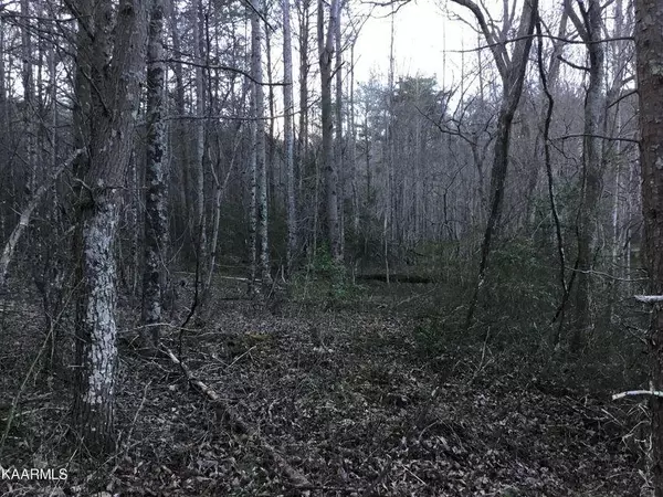 Pikeville, TN 37367,0 Pete Smith RD