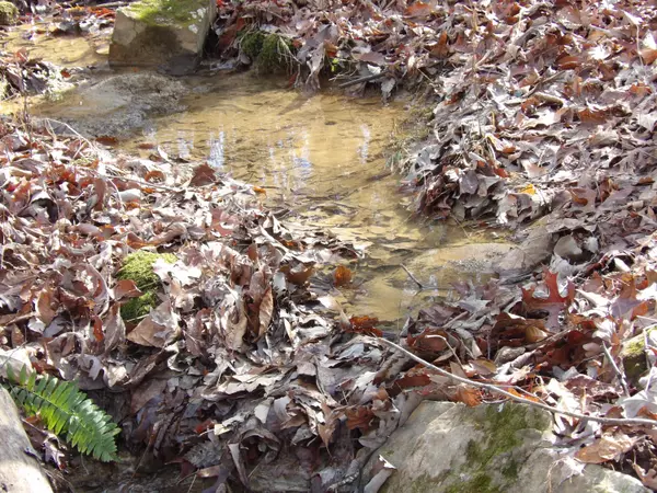 Crossville, TN 38555,26 Crestwoods RD