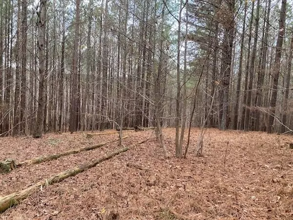 South Pittsburg, TN 37380,Lot 59 Mokay View