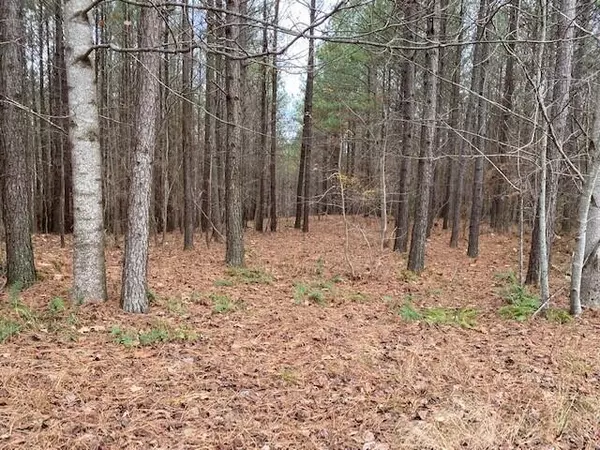 South Pittsburg, TN 37380,Lot 59 Mokay View