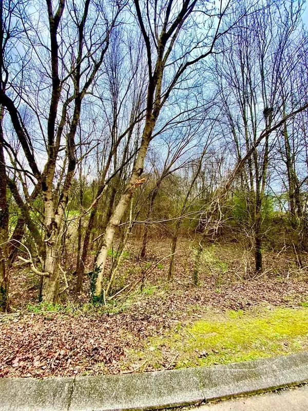 Dayton, TN 37321,Lot 2 Millstone Drive Dyaton DR