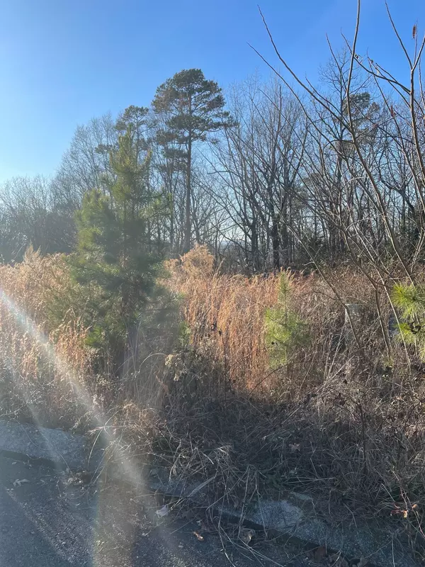 Rock Spring, GA 30739,Lot 27 Cheshire Crossing DR