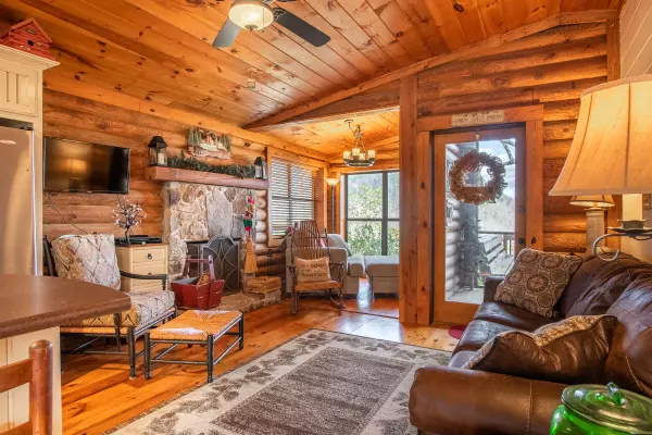 Cloudland, GA 30731,368 Cabin Drive