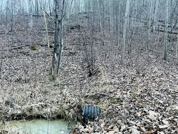 Chatsworth, GA 30705,870 Sugar Hollow RD