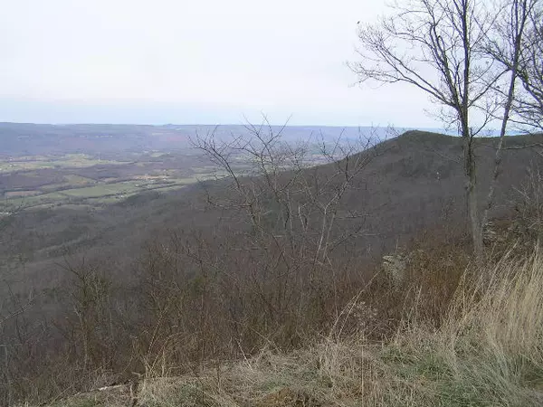 Graysville, TN 37338,163 Raven Crest TRL