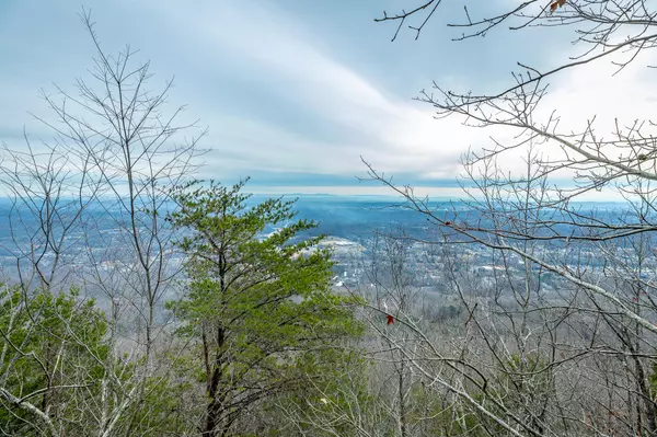 Signal Mountain, TN 37377,0 Palisades DR