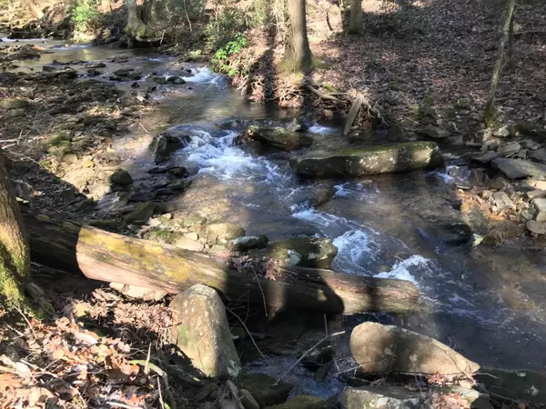 Dunlap, TN 37327,546 Wilderness WAY