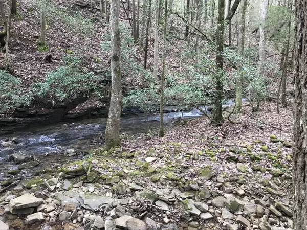 Dunlap, TN 37327,543 Wilderness WAY