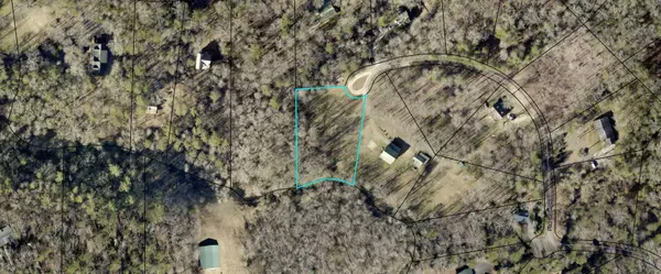 Mccaysville, GA 30555,Lot 11 Pine Grove DR