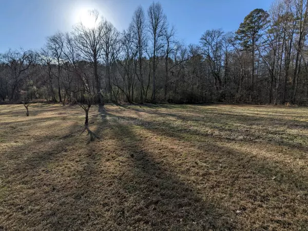 Mccaysville, GA 30555,Lot 11 Pine Grove DR