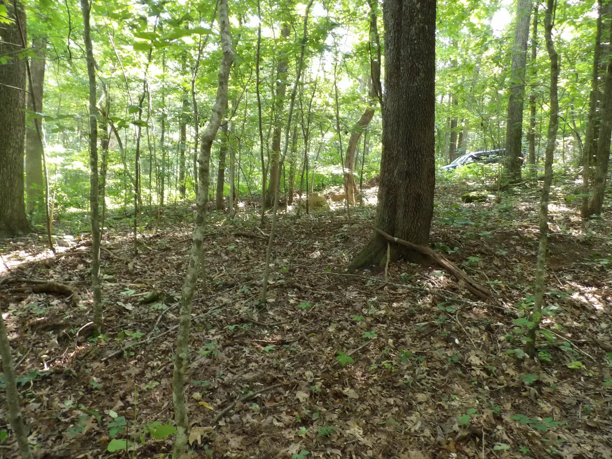 Pikeville, TN 37367,0 Cherokee Ridge RD
