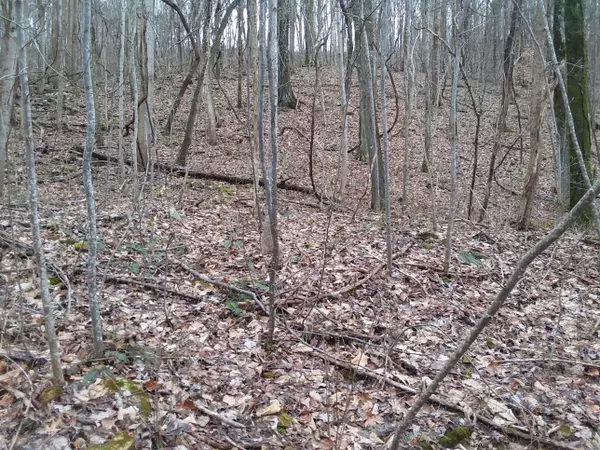 Pikeville, TN 37367,104 Rigsby Toll RD