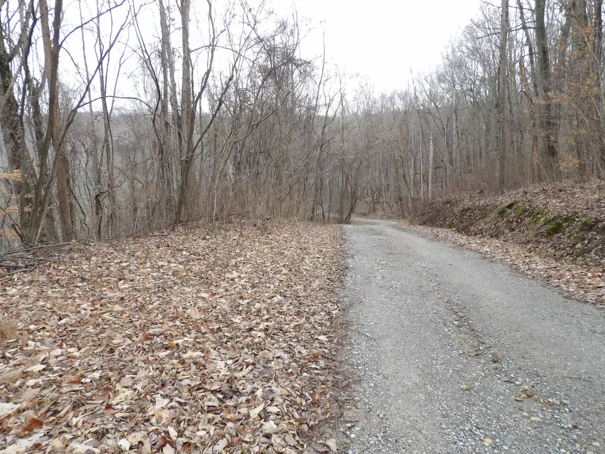 Pikeville, TN 37367,95 Cherokee Ridge RD