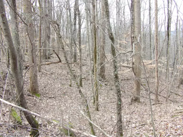 Pikeville, TN 37367,83 Cherokee Ridge RD