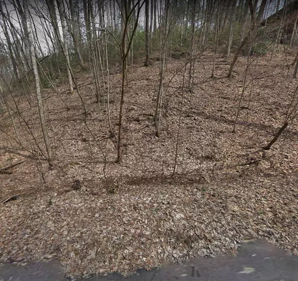 Gatlinburg, TN 37738,Lot 1266 Raymond Hollow RD