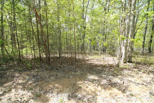 Lot 403 Wandering WAY,  Dunlap,  TN 37327