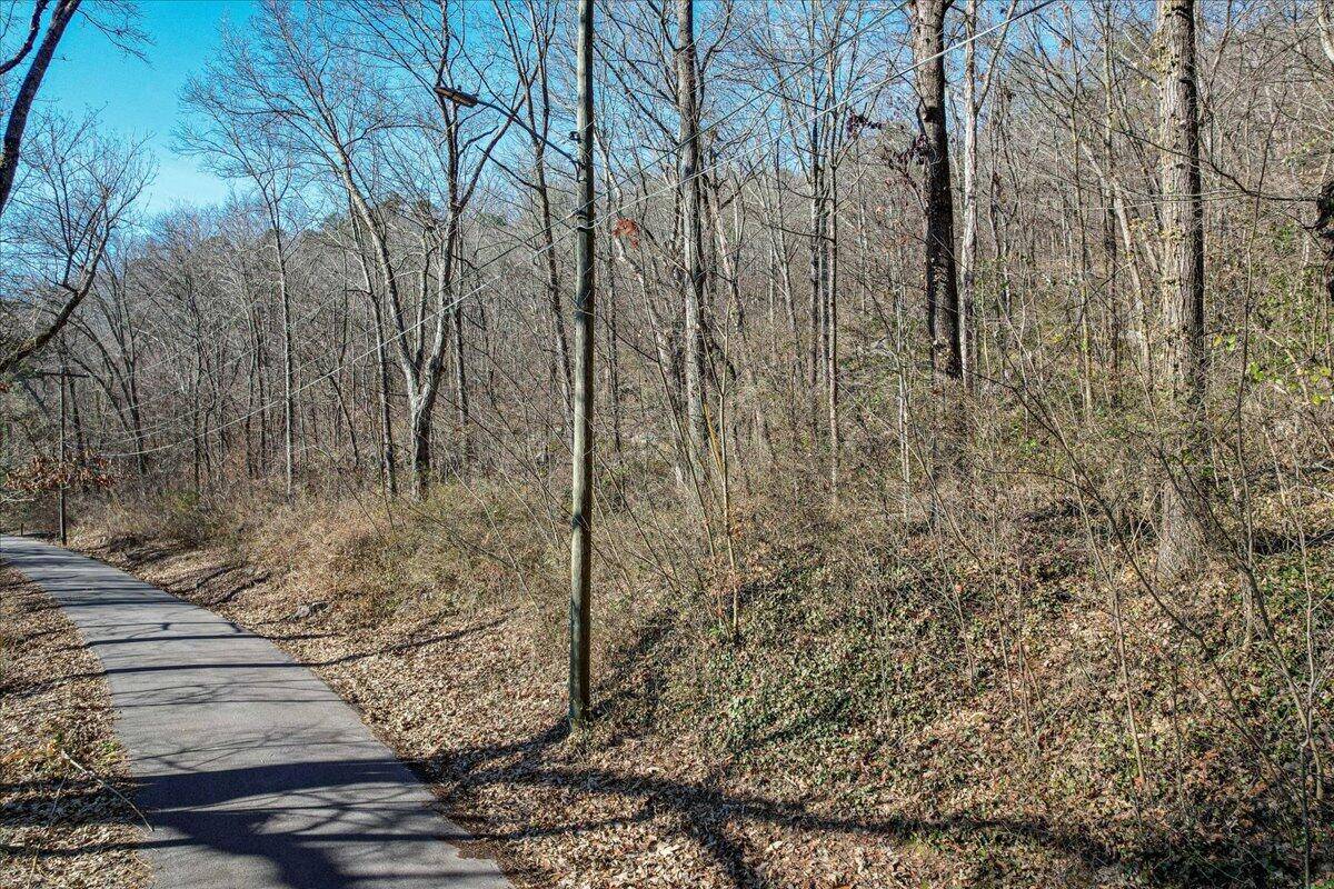 Chattanooga, TN 37409,0 Guild TRL