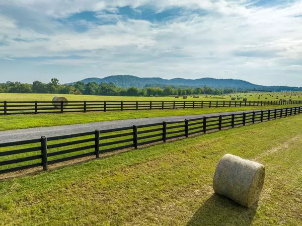 Georgetown, TN 37336,7950 Highway 60